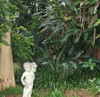 Louis Trichardt Maison | Softwaters Guesthouse Cottages