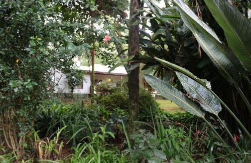 Louis Trichardt Maison | Softwaters Guesthouse Cottages