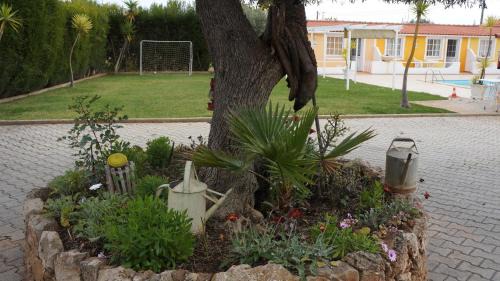 Albufeira Maison | SOLAR DOS AVÓS