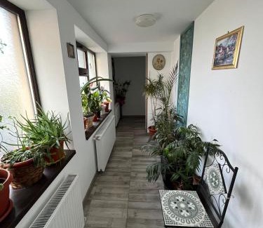 Galati Appartement | Solaria Studio