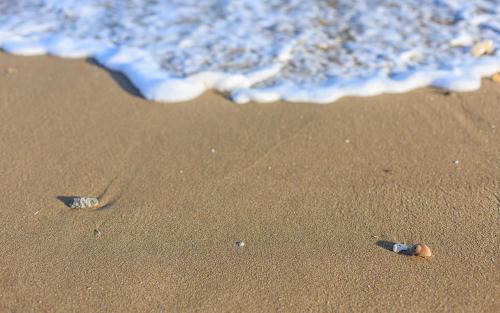 Byeonsan Maison | Soleiview Spa Pension and Resort
