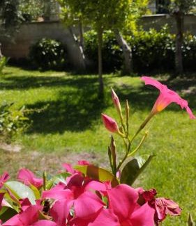 Paestum Villa | SoleLuna Alba