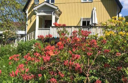 Alingsas Lit Et Petit-Déjeuner | Solhuset intill ån
