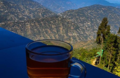 Darjeeling Chalet De Ski | Solitude In Himalayas