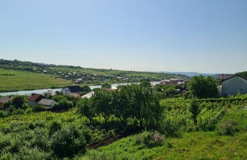 Nord-Est Appartement | Somad Apartment