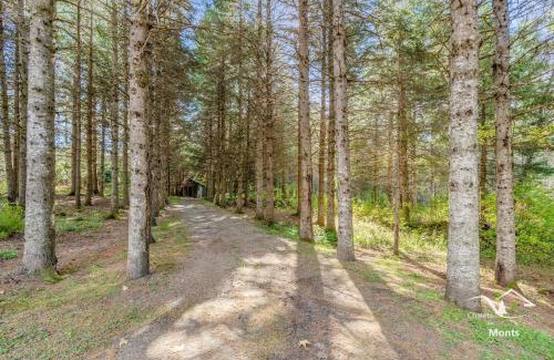 Saint-Philemon Chalet De Ski | SommetBlanc