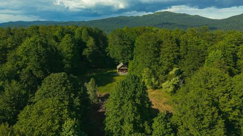 Hrib pri Hinjah Chalet De Ski | Somova gora chalet in the woods