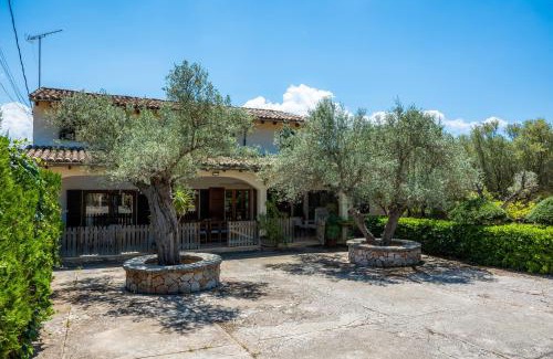 Alaro Maison | Son Fransi Alaro