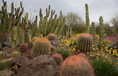 Continental Ranch Maison | Sonesta Tucson
