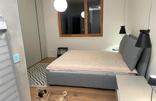 Sonnenalpe Nassfeld Appartement | Sonnenalpe Nassfeld Allegra Joy