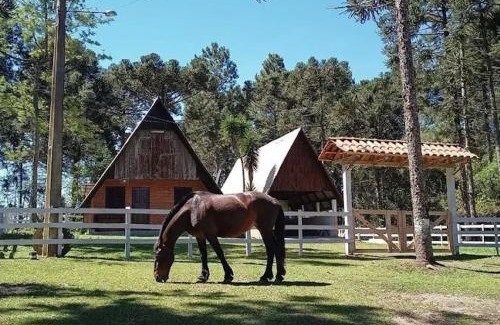 Mafra Appartement | Sonnenblumen chalet