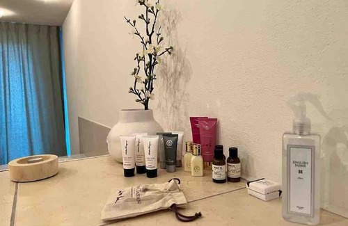 Feusisberg Appartement | Sonnige Loft mit Terrasse, Ladestation für Elektrofahrzeuge