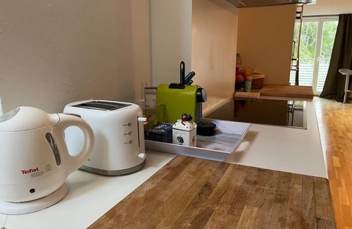 Feusisberg Appartement | Sonnige Loft mit Terrasse, Ladestation für Elektrofahrzeuge