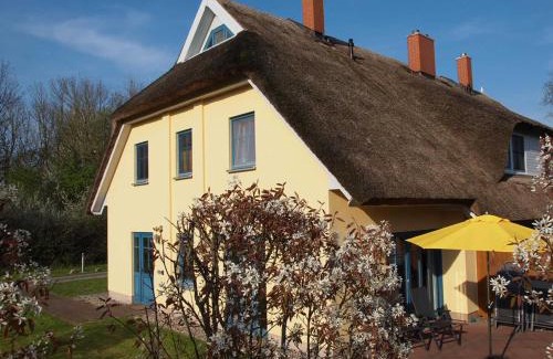 Puddemin Maison | Sonniges Reetdachhaus