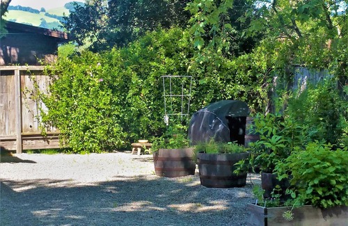 Sonoma Cottage | Sonoma Vineyard Cottage - enjoy wine country life. Peaceful yet central locale!