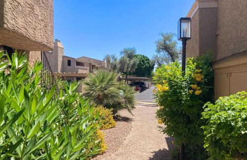 South Scottsdale Appartement | Sonoran Starlight
