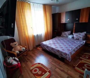 Lupeni Appartement | Sophia Lupeni Straja