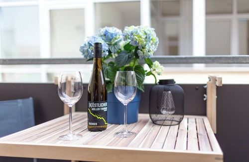 Zwickau Appartement | soulscape Apartments CityCenter - kompakte & luxuriöse DELUXE Wohnung im Zentrum