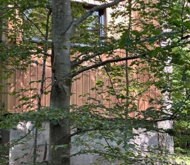 Labaroche Cabine | Sous Les Pins