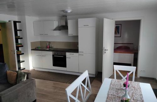 Weingarten Appartement | Soutterain - Wohnung mit Senkgarten