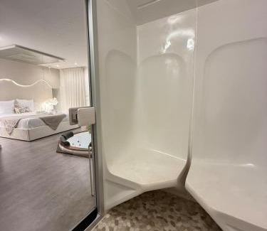 Belfort Appartement | Spa sauna et hammam - Dahlia