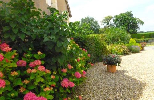 Vicq-sur-Nahon Maison | Spacieuse fermette près des châteaux & Zoo de Beauval avec activités et grand jardin - FR-1-591-218
