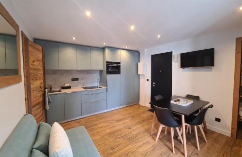 Les Carroz-d'Araches Appartement | Spacieux 2 pièces + cabine, idéal famille, 5 pers, centre village, proche commerces et pistes - FR-1-572-156