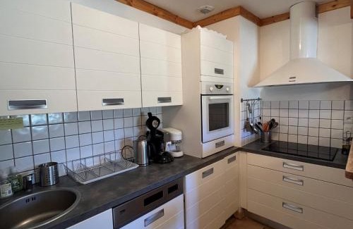 Correncon-en-Vercors Appartement | Spacieux appartement 107m² à Corrençon-en-Vercors - FR-1-761-46
