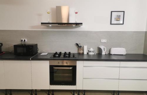 Jonage Appartement | Spacieux appartement dans Villa