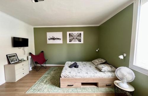 Chatellerault Appartement | Spacieux et confortable en plein centre - Studio Vienne
