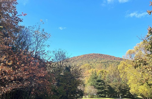 Nellysford Maison | Spacious 6-bedroom house in Mtns of Nellysford Spacious and Private AC, WiFi