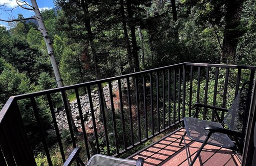 Taos Ski Valley Copropriété | Spacious 800 sqf 2-bedroom condo 1.5 miles away from lift 1 at Taos Ski Valley!