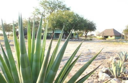 Etosha Maison | Spacious 9-bedroom building in wonderful Otavi with AC