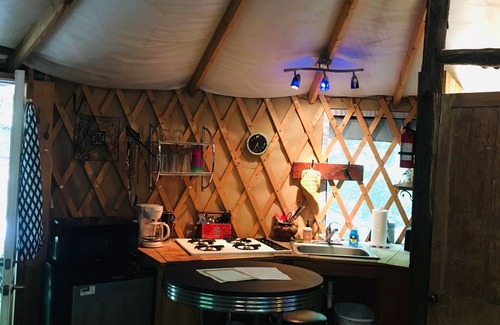 Trumansburg Cabine | La yourte spacieuse et aérée est délicieuse pour le glamping dans le confort!