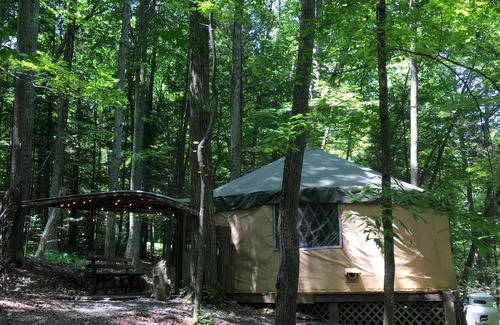 Trumansburg Cabine | La yourte spacieuse et aérée est délicieuse pour le glamping dans le confort!