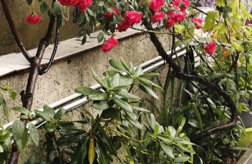 Stains Appartement | Spacious and bright studio near Paris