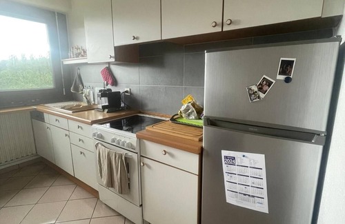 Ferney-Voltaire Appartement | Spacious apartment near the UN