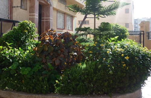 El Jadida Appartement | Appartement Spacieux - 84m2- 200m de l'Océan à Eljadida Maroc