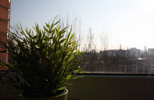 Marienthal Ost Appartement | Appartement spacieux pour 3 personnes dans le centre de Zwickau