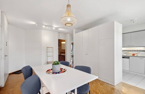Hottingen Appartement | Spacious Apartment in Zurich's Heart