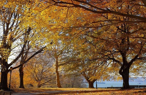 Bay Ridge Appartement | Spacious apt in SW Brooklyn on a tree-lined st. 10min to R train, 9min to Ferry.