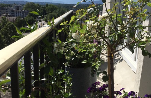 Ferney-Voltaire Appartement | Spacious, Comfortable Apartment, Geneva-ferney Border, With Mountain Views