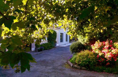 Terryland Appartement | Spacious Contemporary Chalet type Apartment.
