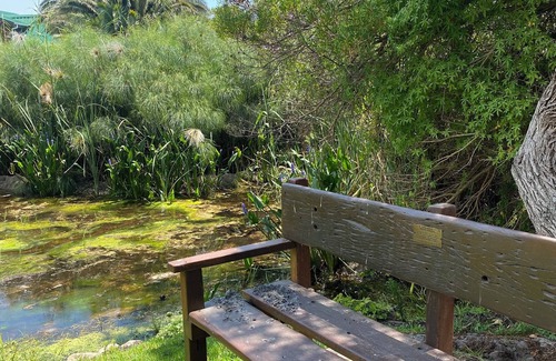 Pringle Bay Maison | Spacious Family Beach House in Pringle Bay with huge garden next to a stream
