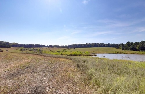 Grubville Maison | Spacious Franklin County Retreat on 80 Acres!