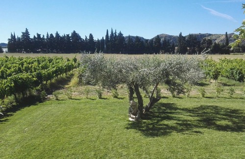 Saint-Genies-de-Comolas Maison | Maison spacieuse au milieu des vignes