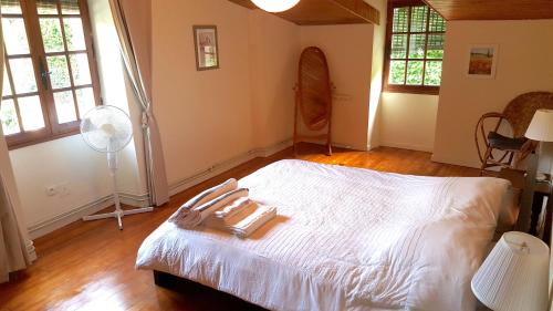 Celles Maison | Spacious holiday home with pool in pretty village