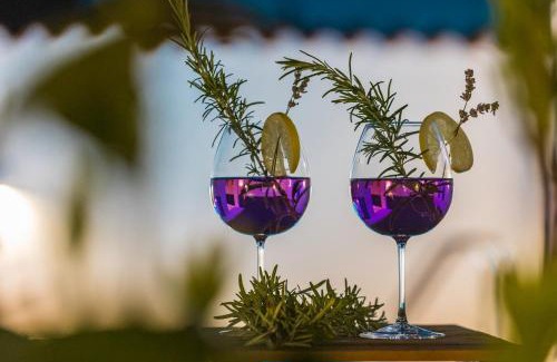 Barbariga Villa | Spacious holiday house in Istria
