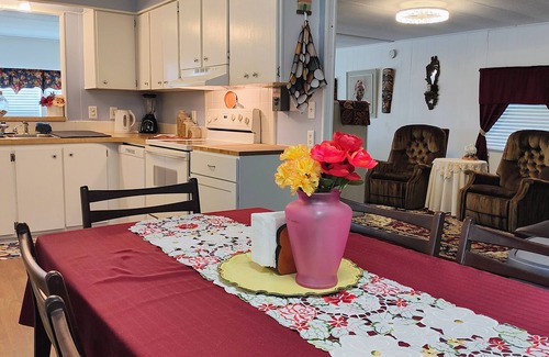 Oldsmar Maison | Spacious Home near Everything in charming Oldsmar