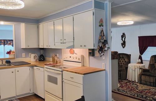 Oldsmar Maison | Spacious home near restaurants, movies, beaches, and hospitals, w/community pool